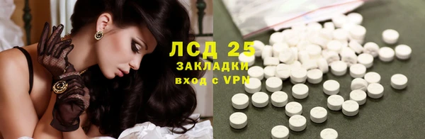 стафф Алзамай