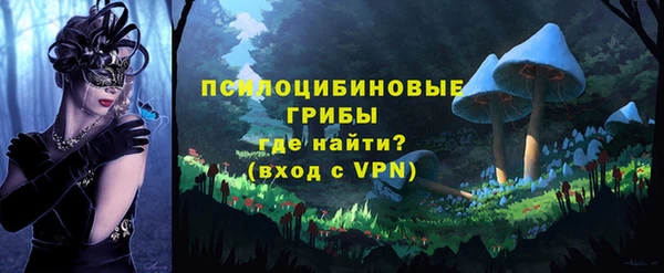 стафф Алзамай